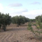 https://bluemedspain.com/wp-content/uploads/2021/09/resized_2021-09-02-20.17.11.jpg
