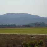 https://bluemedspain.com/wp-content/uploads/2024/09/resized_DSC00725-scaled.jpg
