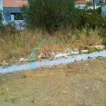 https://cdn.nerjabeachproperties.com/images/?tk=a_TmKoT0QwssSv-3eafe6-whatsapp_image_2019-06-07_at_15.34.11.jpg
