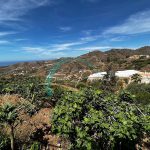 https://cdn.nerjabeachproperties.com/images/?tk=eQhMhYOV_kh55kUwjAdj-7e28da-whatsapp_image_2022-06-11_at_10.58.42_am.jpg