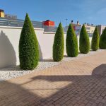 https://infinitycasas.com/wp-content/uploads/2024/03/IMG-20240208-WA0002.jpg