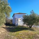 http://www.inlandandalucia.com/images/photos/properties/CJ906/CJ906_3.jpg