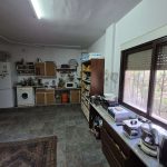 https://fuentealamorealestate.com/wp-content/uploads/2025/02/20250204_130730.jpg