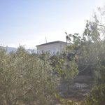 https://files.almeriahomes.com/propimgs/11/10551/xlwm_119313.jpg