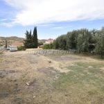 https://files.almeriahomes.com/propimgs/14/13137/xlwm_190269.jpg