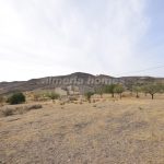 https://files.almeriahomes.com/propimgs/14/13154/xlwm_190849.jpg