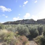 https://files.almeriahomes.com/propimgs/3/2554/xlwm_201084.jpg