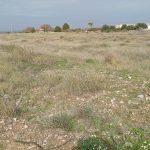 https://production-kyero-property-images.s3.amazonaws.com/18968/18968416/366321484_original.jpg?checksum=8ae049a874619c4bd2a15bace0dbee53c6b73d78
