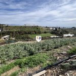 http://www.inlandandalucia.com/images/photos/properties/FI314/FI314_2.jpg