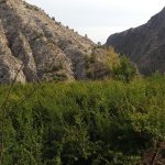 https://fotos15.apinmo.com/5292/23824443/2-6.jpg