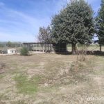 https://fotos15.apinmo.com/5292/22947439/3-6.jpg
