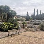 https://fuentealamorealestate.com/wp-content/uploads/2022/12/los-altos-mimosa_IMG_1603.jpg