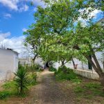 http://www.inlandandalucia.com/images/photos/properties/CJ919/CJ919_5.jpg