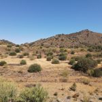 http://sunshine-immo.com/wp-content/uploads/2024/06/DJI_0547-scaled.jpg