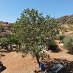 http://sunshine-immo.com/wp-content/uploads/2024/06/DJI_0531-scaled.jpg