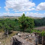https://www.calidahomespropconsult.com/images/propertyImages/cortijo-meadow-terraced-country-house-for-sale-in-arboleas/cortijo-meadow-terraced-country-house-for-sale-in-arboleas-4992183939.jpg