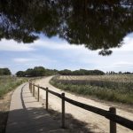 https://fotos15.apinmo.com/7515/23687154/10-5.jpg