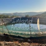 http://www.inlandandalucia.com/images/photos/properties/PL316/PL316_2.jpg