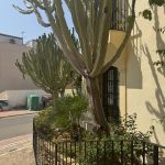https://www.pricebrown.com/images/propertyImages/a1542-apartment-for-sale-in-villaricos/a1542-apartment-for-sale-in-villaricos-34689526.jpg