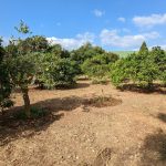 https://respacio-92aeb16a47056cced761e868d944d65d.s3.eu-west-3.amazonaws.com/property_attachment/detail_image/property_image_1ocwuwpylb_20240902011059.jpg