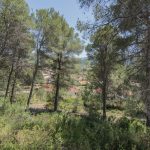 https://respacio-92aeb16a47056cced761e868d944d65d.s3.eu-west-3.amazonaws.com/property_attachment/detail_image/property_image_1r40161vjo_20250701043522.jpg