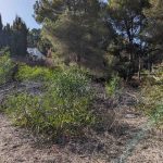 https://respacio-92aeb16a47056cced761e868d944d65d.s3.eu-west-3.amazonaws.com/property_attachment/detail_image/property_image_1350jp7821_20240419041032.jpg