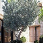 https://respacio-92aeb16a47056cced761e868d944d65d.s3.eu-west-3.amazonaws.com/property_attachment/detail_image/property_image_1lsexzzbvv_20250701050140.jpg