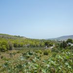 https://respacio-92aeb16a47056cced761e868d944d65d.s3.eu-west-3.amazonaws.com/property_attachment/detail_image/property_image_146xblf635_20250819044313.jpg