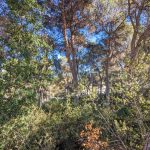 https://respacio-92aeb16a47056cced761e868d944d65d.s3.eu-west-3.amazonaws.com/property_attachment/detail_image/property_image_1m29ztdgap_20240315040523.jpg