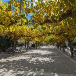 https://respacio-92aeb16a47056cced761e868d944d65d.s3.eu-west-3.amazonaws.com/property_attachment/detail_image/property_image_1nyksg7onq_20250701043651.jpg