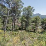 https://respacio-92aeb16a47056cced761e868d944d65d.s3.eu-west-3.amazonaws.com/property_attachment/detail_image/property_image_1pqsud9lav_20250701043518.jpg