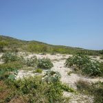 https://respacio-92aeb16a47056cced761e868d944d65d.s3.eu-west-3.amazonaws.com/property_attachment/detail_image/property_image_17oijbvv7d_20250819044308.jpg