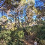 https://respacio-92aeb16a47056cced761e868d944d65d.s3.eu-west-3.amazonaws.com/property_attachment/detail_image/property_image_1iz7vknisa_20240315040533.jpg