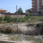 https://bluemedspain.com/wp-content/uploads/2020/01/resized_2018-04-04-14.50.09.jpg