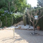 https://bluemedspain.com/wp-content/uploads/2020/01/resized_2018-08-23-12.29.12.jpg