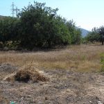https://bluemedspain.com/wp-content/uploads/2025/07/resized_DSC00079-scaled.jpg