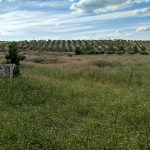 https://fotos15.apinmo.com/5292/25766238/3-8.jpg
