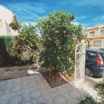 https://www.smartsell.es/sites/001/images/4726-semi-detached-villa-for-sale-in-playa-flamenca/4726-semi-detached-villa-for-sale-in-playa-flamenca-2844326-large.jpg