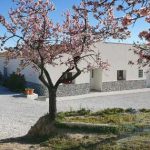 https://www.calidahomespropconsult.com/images/propertyImages/casa-blossom--resale-villa-for-sale-in-oria/casa-blossom--resale-villa-for-sale-in-oria-4332793211.jpg