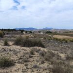 https://www.opgroupspain.com/images/listing_photos/11272_large_plot_for_sale_pinoso_070924114552_img_20240906_wa0015.jpg