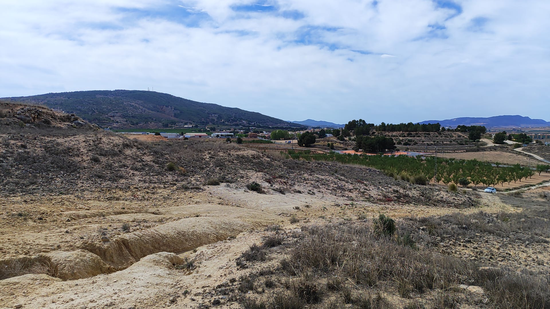 https://www.opgroupspain.com/images/listing_photos/11272_large_plot_for_sale_pinoso_070924114555_img_20240906_wa0024.jpg