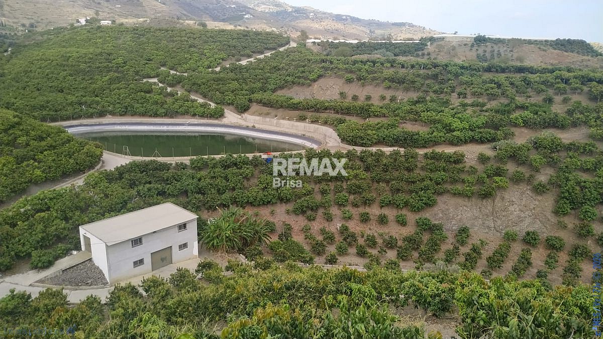 https://cdn.remaxbrisa.es/images/?tk=izo12IlWWlQYAkxnh-86bb4f-7951312229_2.jpg