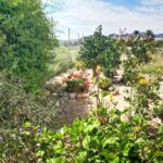 https://fuentealamorealestate.com/wp-content/uploads/2025/07/pool1.jpg