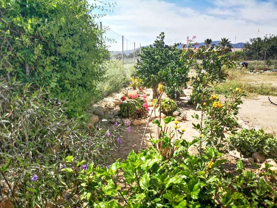 https://fuentealamorealestate.com/wp-content/uploads/2025/07/pool1.jpg