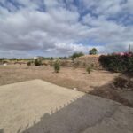 https://fuentealamorealestate.com/wp-content/uploads/2025/07/Garden-2.jpg