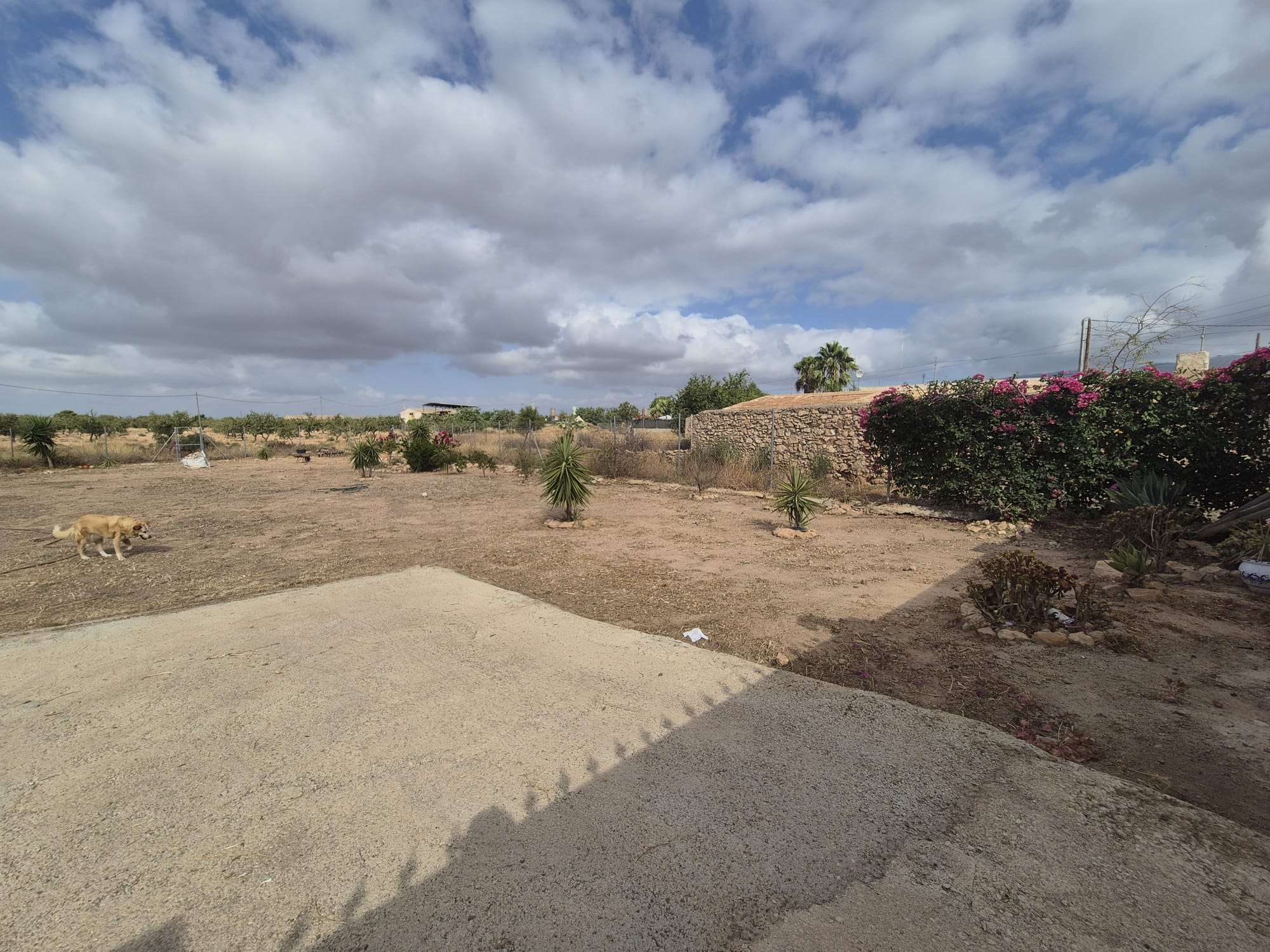 https://fuentealamorealestate.com/wp-content/uploads/2025/07/Garden-2.jpg