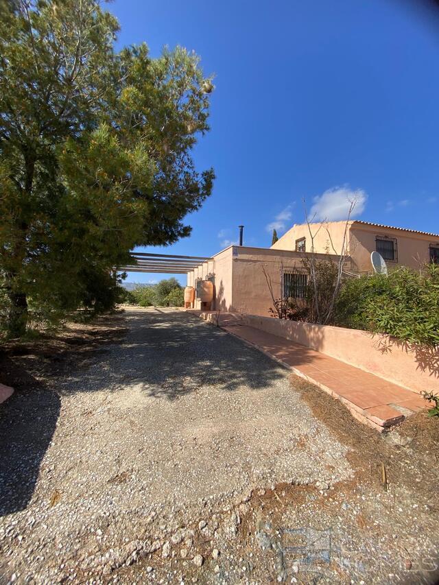 https://www.calidahomespropconsult.com/images/propertyImages/cortijo-arbol-detached-character-house-for-sale-in-oria/cortijo-arbol-detached-character-house-for-sale-in-oria-9263633755.jpg