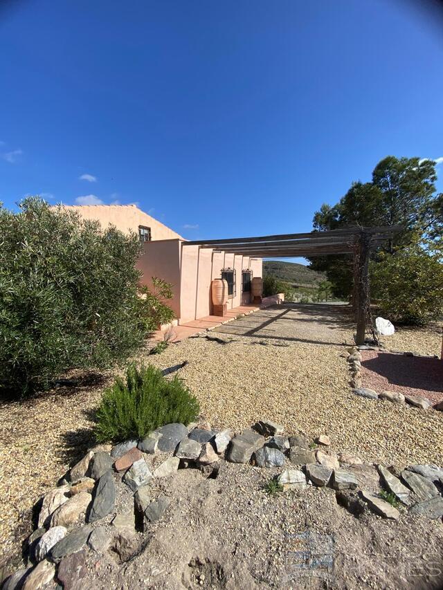 https://www.calidahomespropconsult.com/images/propertyImages/cortijo-arbol-detached-character-house-for-sale-in-oria/cortijo-arbol-detached-character-house-for-sale-in-oria-6396790456.jpg