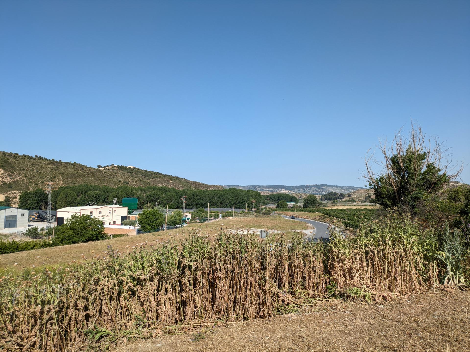 https://fotos15.apinmo.com/5292/29225264/1-1.jpg