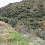 https://fotos15.apinmo.com/5292/27618763/1-1.jpg